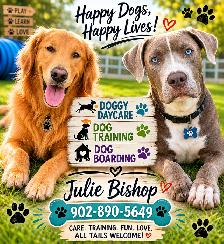 Doggy Daycare and Boarding Services