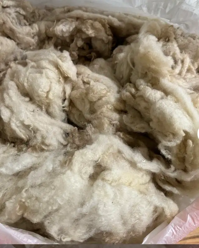 Free Sheep Wool