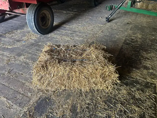 Clean wheat  straw