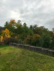 End Unit Townhouse, Townhome in Kanata Lakes for Rent - Photo 18