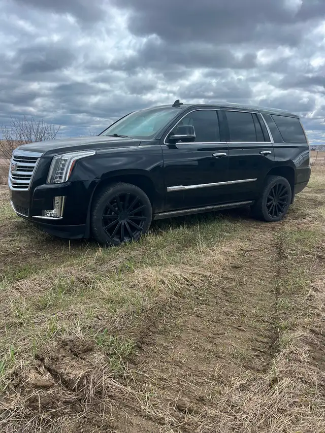 2015 Cadillac Escalade Platinum