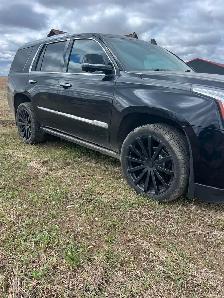 2015 Cadillac Escalade Platinum - Photo 2