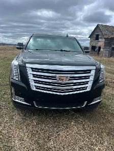 2015 Cadillac Escalade Platinum - Photo 3
