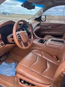 2015 Cadillac Escalade Platinum - Photo 4