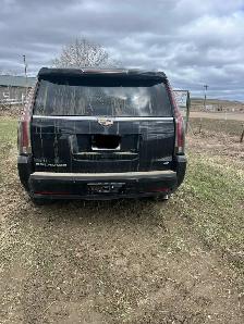 2015 Cadillac Escalade Platinum - Photo 10