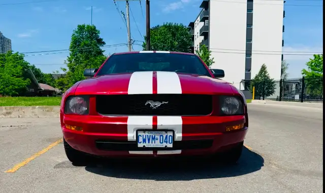 2009 Ford Mustang v6 – Exceptional Condition