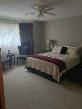 Large Bright 2 Bedroom 1 Bedroom Suite Near College - Photo 3