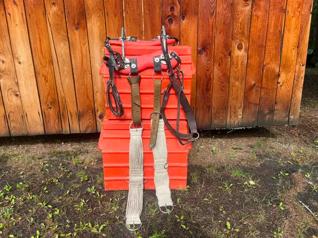Pack Saddle.