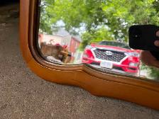 Large Solid Wood Framed Mirror - Photo 6