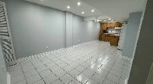 One bedroom plus den basement apartment for rent for $1500/month