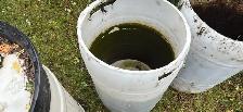 free rain barrels and snow scoop - Photo 3