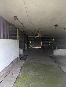 Junk removal / Dump runs - Photo 2
