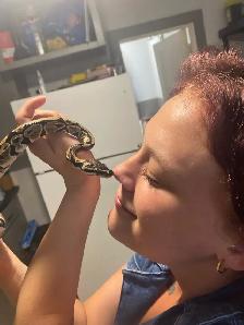Ball Python - Photo 4