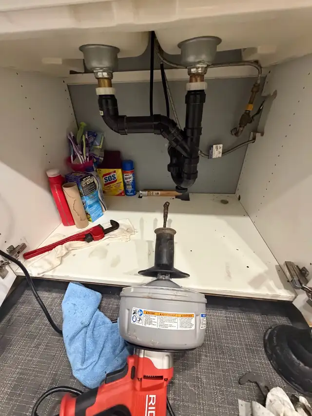 Snake Kitchen Drain