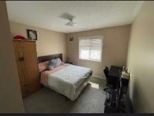 House for rent in Brampton-Springdale Area - Photo 8