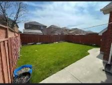 House for rent in Brampton-Springdale Area - Photo 10