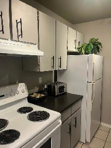 AVAILABLE TODAY. Awesome furnished 1 bedroom plus small den. - Photo 9