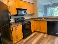 House For Rent- 4 Beds   2.5 Baths - Photo 5