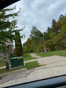 House For Rent- 4 Beds   2.5 Baths - Photo 6
