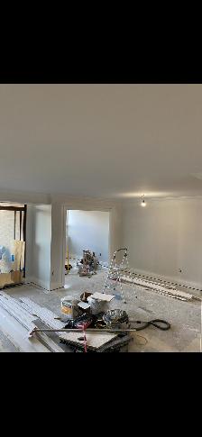 Painting, plastering much more - Photo 6