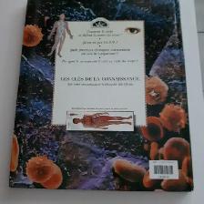 GRAND LIVRE NEUF ADO 10à12 POUCES LE CORPS HUMAIN 64 PAGES $5.00 - Photo 2
