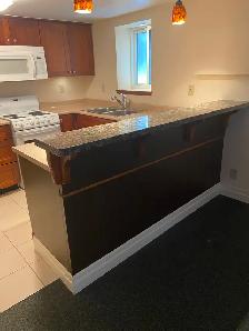 Charming Basement Bachelor/Studio Apt in Roncesvalles Village - - Photo 3