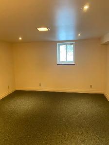 Charming Basement Bachelor/Studio Apt in Roncesvalles Village - - Photo 4
