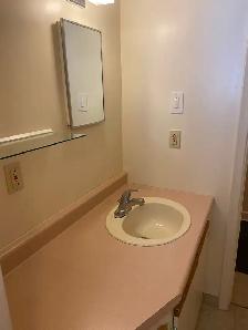 Charming Basement Bachelor/Studio Apt in Roncesvalles Village - - Photo 6