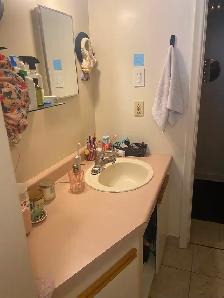 Charming Basement Bachelor/Studio Apt in Roncesvalles Village - - Photo 9