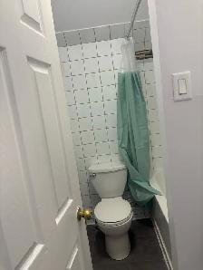 4 bedroom 2 bath house on Gladstone near Bank St - Photo 4