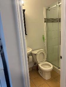 4 bedroom 2 bath house on Gladstone near Bank St - Photo 10