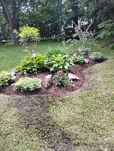 GARDENER AVAILABLE $20 HOUR - Photo 2
