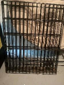 LRG - DOG PEN  FOR SALE