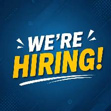 Junior Web / Ecommerce Assistant (Entry Level)