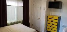 Aug. 1-Big Sunny Rm Near D/T All Inclusive-Male-Long or Short - Photo 4