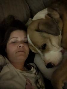 Diesel for rehoming - Photo 4