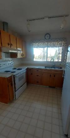 Master Room and Bsmt Room in Large House. 2 New Roommates Wanted - Photo 2
