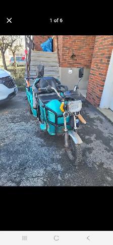 2 Seater Ebike