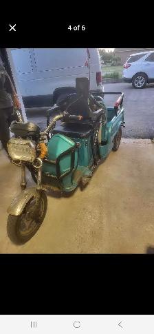 2 Seater Ebike - Photo 4