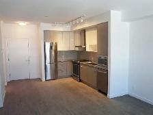 Penthouse Condo - Central Green One - Photo 5