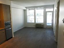 Penthouse Condo - Central Green One - Photo 6