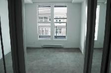 Penthouse Condo - Central Green One - Photo 7