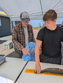 3rd Annual Striped Bass Tournament, Pokeshaw & Black Rock Lions - Photo 3