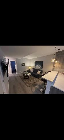 Basement Suite for rent - Photo 3