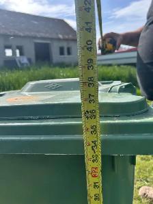 Green Bins - Photo 4