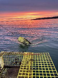 3rd Annual Striped Bass Tournament , Pokeshaw & Black Rock Lions - Photo 5
