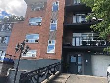 Renovated 2-Bed Suite- Utilities Included