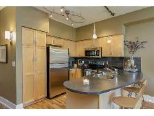 EAU CLAIRE 1 BEDROOM FULLY FURNISHED CONDO - Photo 2