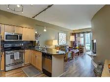EAU CLAIRE 1 BEDROOM FULLY FURNISHED CONDO - Photo 3