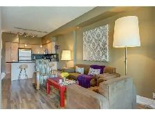 EAU CLAIRE 1 BEDROOM FULLY FURNISHED CONDO - Photo 6